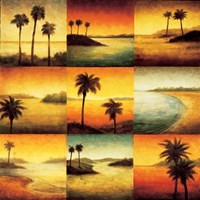 Palm Perspectives Fine Art Print