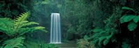 Millaa Millaa Falls, Queensland, Austral Fine Art Print