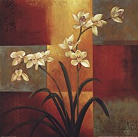 White Orchid Fine Art Print