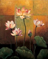 Lotus Fine Art Print
