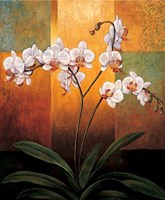 Orchids Fine Art Print
