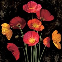 Poppy Bouquet I Fine Art Print