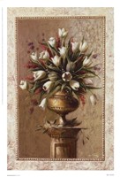 Spring Blossoms II Fine Art Print