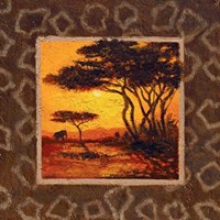 Savannah Sunset III Fine Art Print