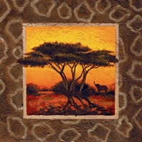 Savannah Sunset IV Fine Art Print