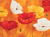 Festa Di Papaveri Fine Art Print