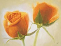 Evanescence II Fine Art Print