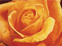 Gaiezza Fine Art Print