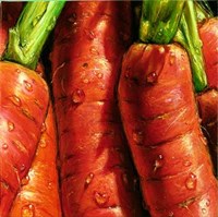 Carrots Fine Art Print