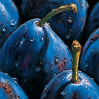 Plums Fine Art Print
