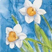 Narcisi Fine Art Print