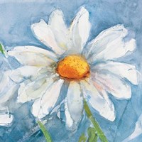 Margherite Fine Art Print