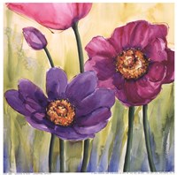 Anemoni In Rosa Fine Art Print