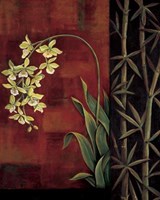 Green Orchid Fine Art Print