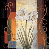 Amaryllis Fine Art Print