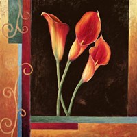 Orange Callas Fine Art Print