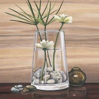 True Nature III Fine Art Print