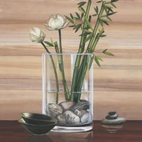 True Nature IV Fine Art Print