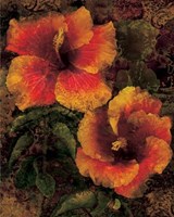 Hibiscus I Fine Art Print