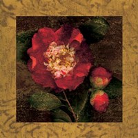 Red Camellias I Fine Art Print