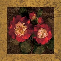 Red Camellias II Fine Art Print