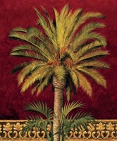 Canary Palm Fine Art Print