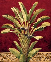 Traveler's Palm Fine Art Print