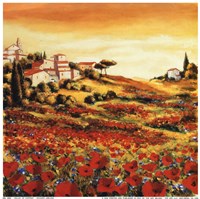 Valley Of Poppies by Frederick J. Leblanc - 10" x 10"