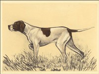 Hunting Dogs-Pointer Fine Art Print