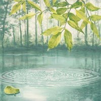 Lumière Du Matin II Fine Art Print