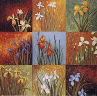 Iris Fields I Fine Art Print