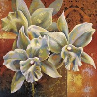 Orchid Collage III by Jane Larose - 12" x 12", FulcrumGallery.com brand