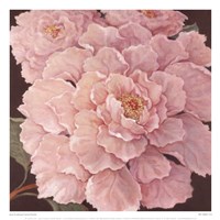 Fuschia Peonies Fine Art Print