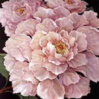 Fuschia Peonies Fine Art Print