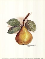 Pear by Peggy Abrams - 6" x 8" - $9.99
