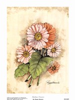 Gerbera Daisies by Peggy Abrams - 5" x 7"