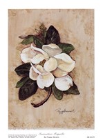 Summertime Magnolia by Peggy Abrams - 6" x 8"