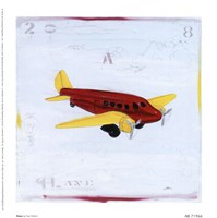 Plane Fine Art Print