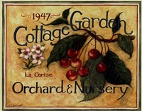 Cottage Garden III Fine Art Print