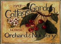 Cottage Garden III Framed Print