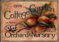 Cottage Garden IV Fine Art Print