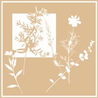 Yin Yang I Fine Art Print