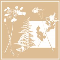 Yin Yang II Fine Art Print