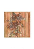 Woven Whimsey II Framed Print