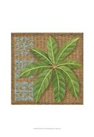 Block Print Palm VI Fine Art Print