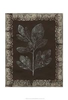 Forest Finery II Fine Art Print