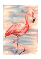 Pink Flamingo I Framed Print