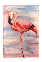 Pink Flamingo II Framed Print