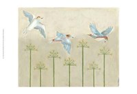 Harmony Flight II Fine Art Print