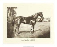 Master Willie Giclee